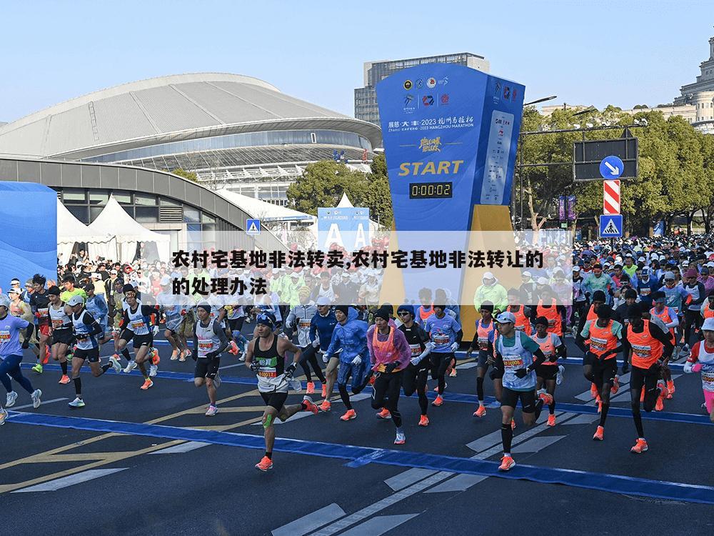 农村宅基地非法转卖,农村宅基地非法转让的的处理办法