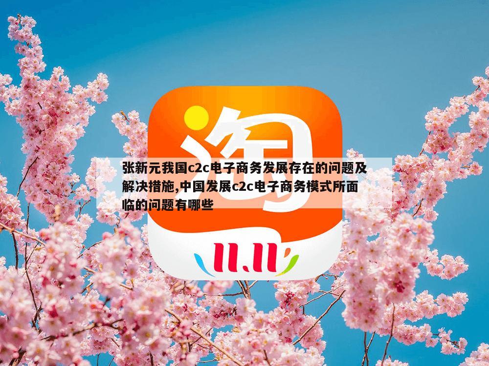 张新元我国c2c电子商务发展存在的问题及解决措施,中国发展c2c电子商务模式所面临的问题有哪些