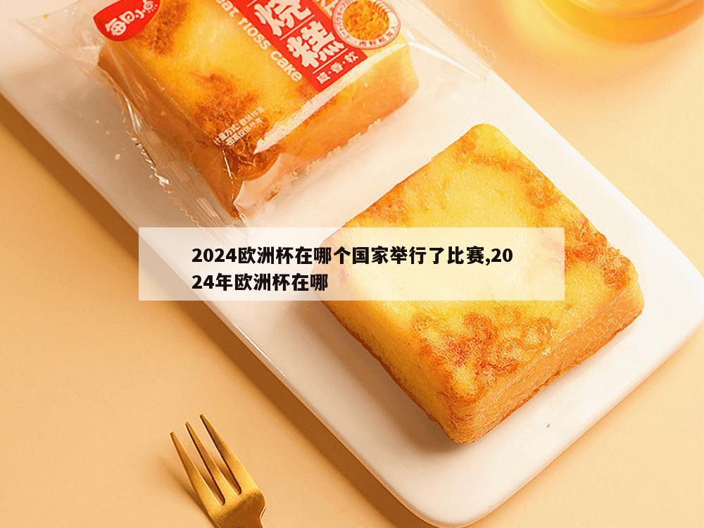 2024欧洲杯在哪个国家举行了比赛,2024年欧洲杯在哪