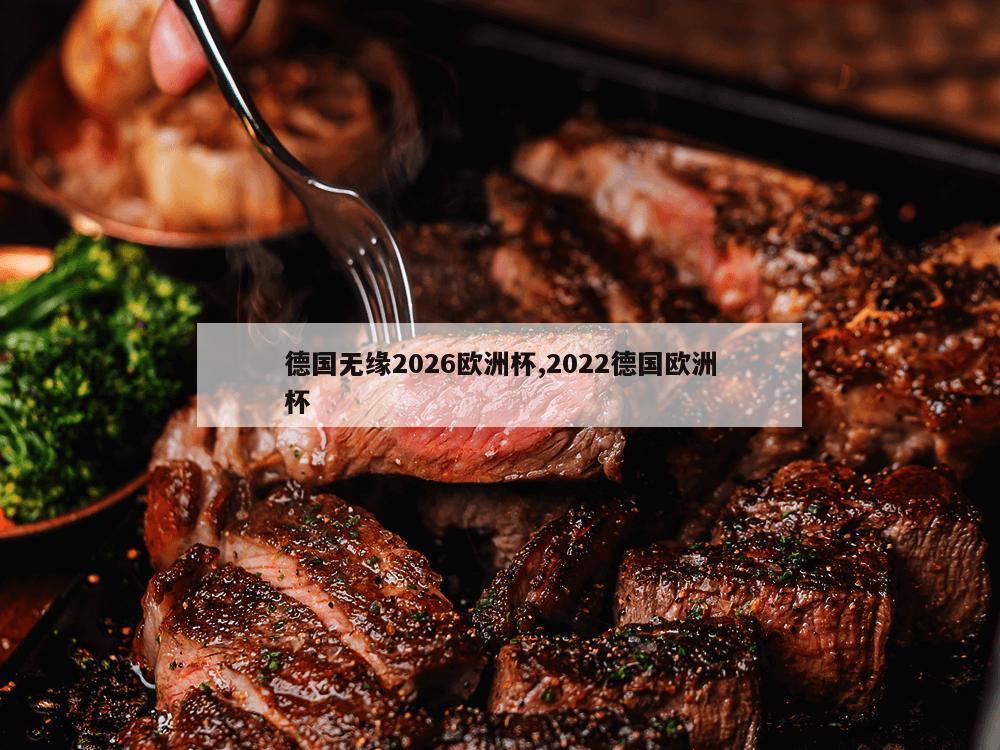 德国无缘2026欧洲杯,2022德国欧洲杯