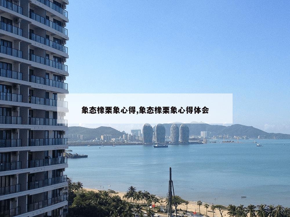 象态橡栗象心得,象态橡栗象心得体会