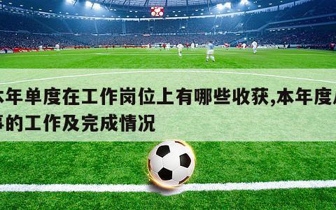 本年单度在工作岗位上有哪些收获,本年度从事的工作及完成情况