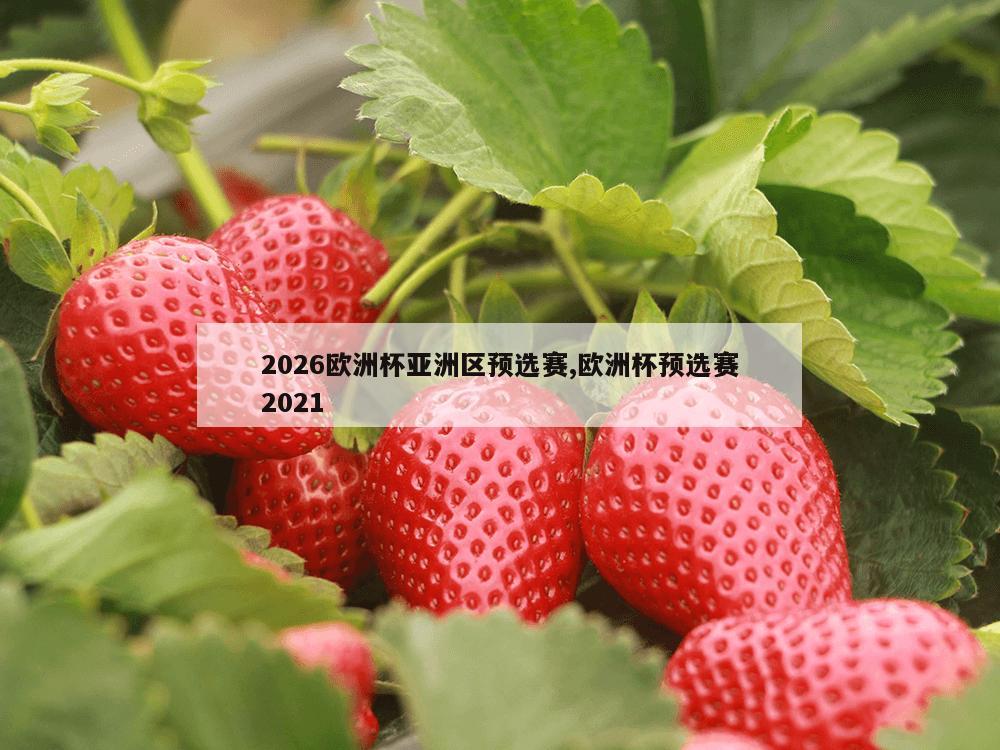 2026欧洲杯亚洲区预选赛,欧洲杯预选赛2021