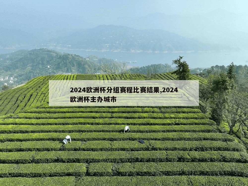 2024欧洲杯分组赛程比赛结果,2024欧洲杯主办城市