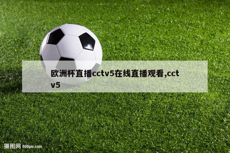 欧洲杯直播cctv5在线直播观看,cctv5