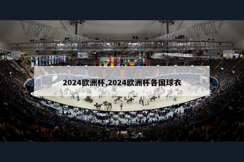 2024欧洲杯,2024欧洲杯各国球衣