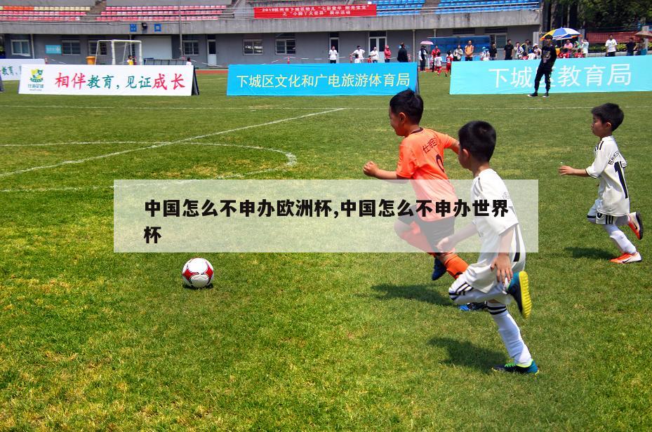 中国怎么不申办欧洲杯,中国怎么不申办世界杯